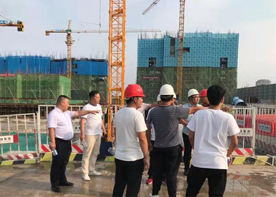 01 (1).jpg 01 (1).jpg