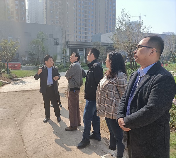 IMG20201019115131.jpg IMG20201019115131.jpg